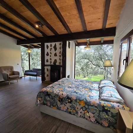Nuevo Ecolodge Cabaneros Ретуэрта-де-Бульяке Экстерьер фото
