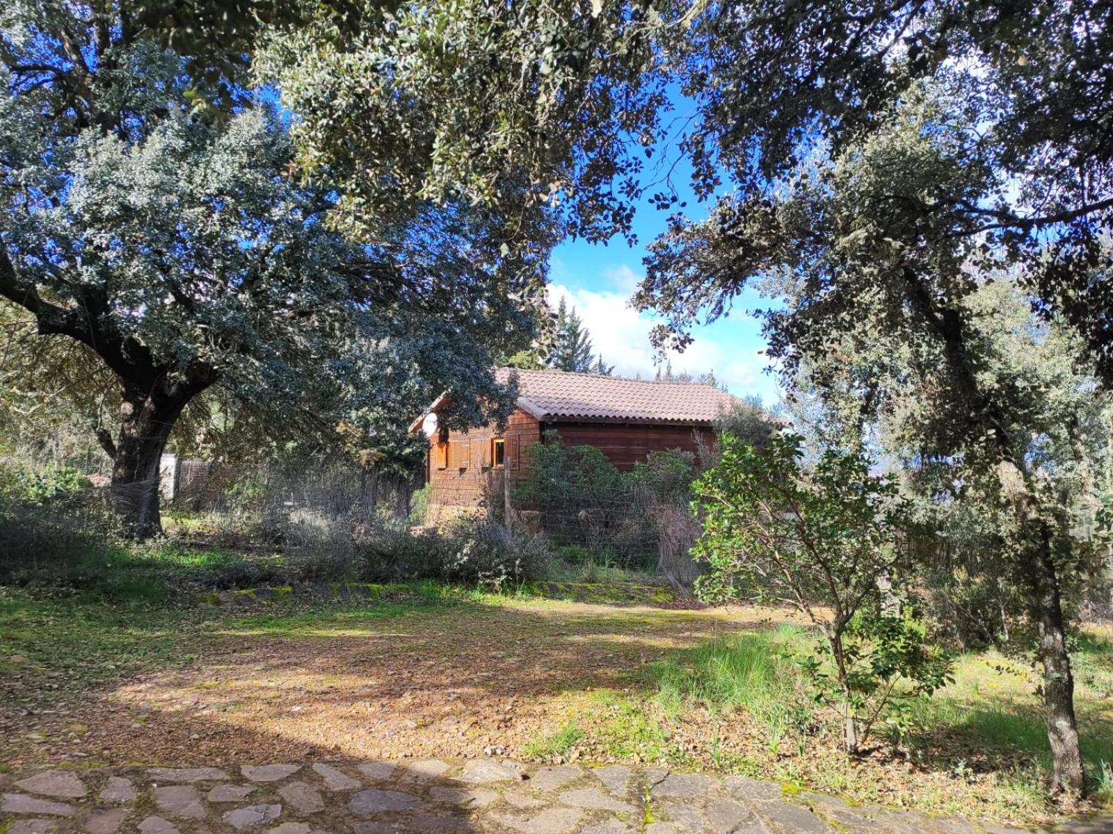 Nuevo Ecolodge Cabaneros Ретуэрта-де-Бульяке Экстерьер фото