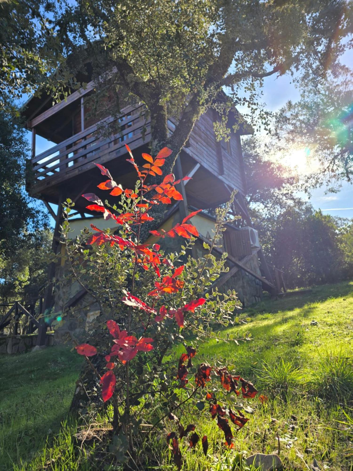 Nuevo Ecolodge Cabaneros Ретуэрта-де-Бульяке Экстерьер фото